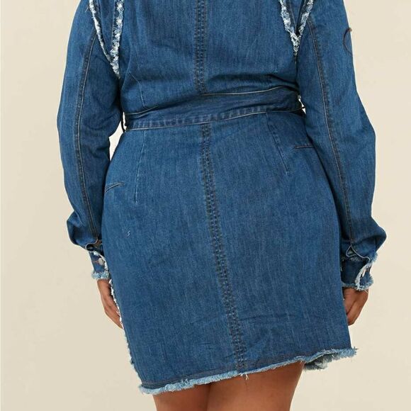 ❤️NEW L’ATISTE BY AMY PLUS SIZE MINI DENIM DRESSES - Picture 7 of 11